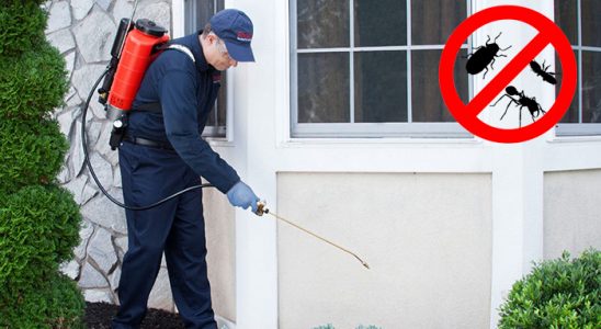 Kocaköy Dezenfeksiyon böcek ilaçlama ve haşere kontrolü — ilaclama-tr.com